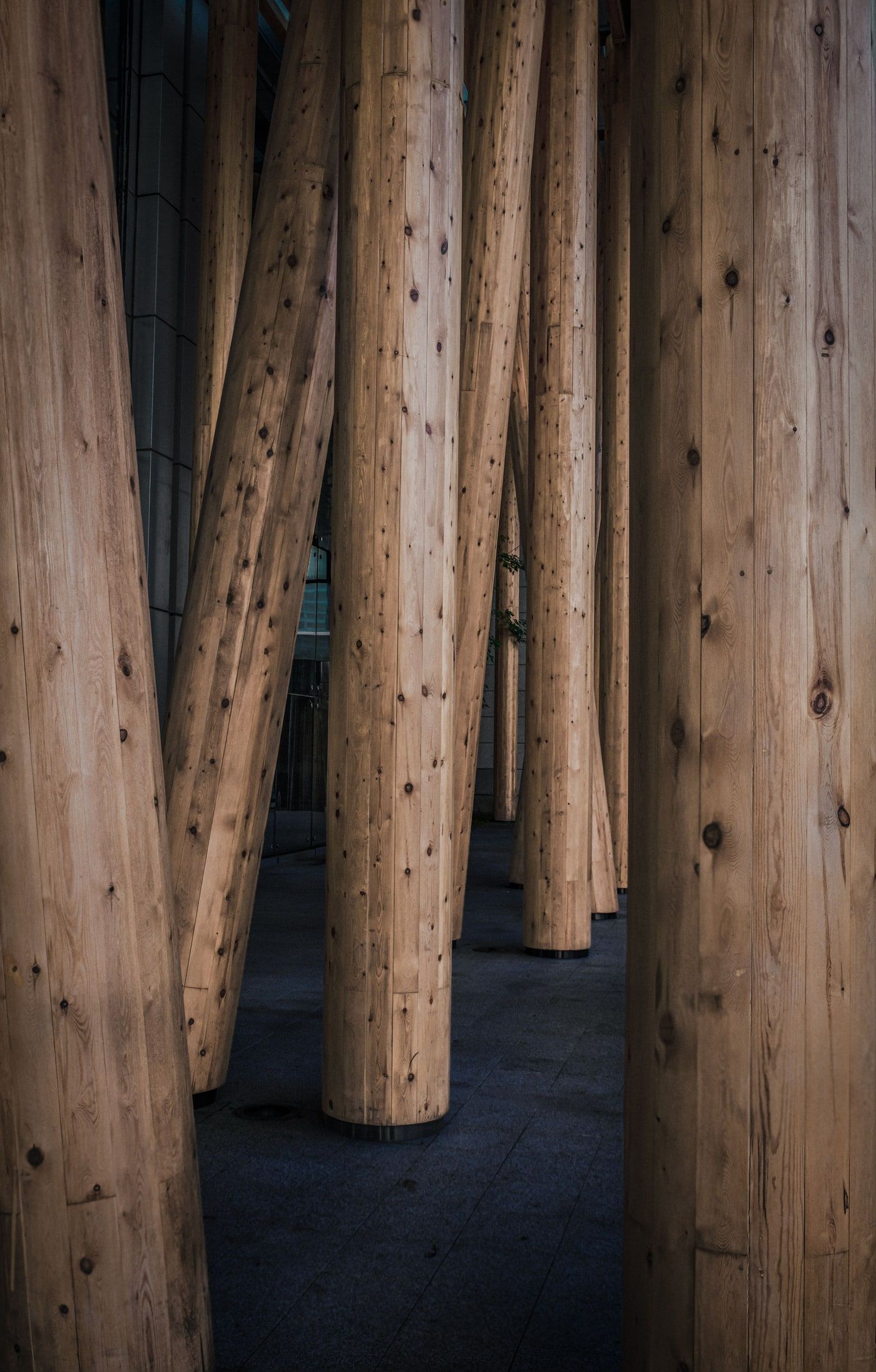 Reihe schlanker, leicht geneigter Holzstützen mit sichtbaren Lamellenfugen und Ästen